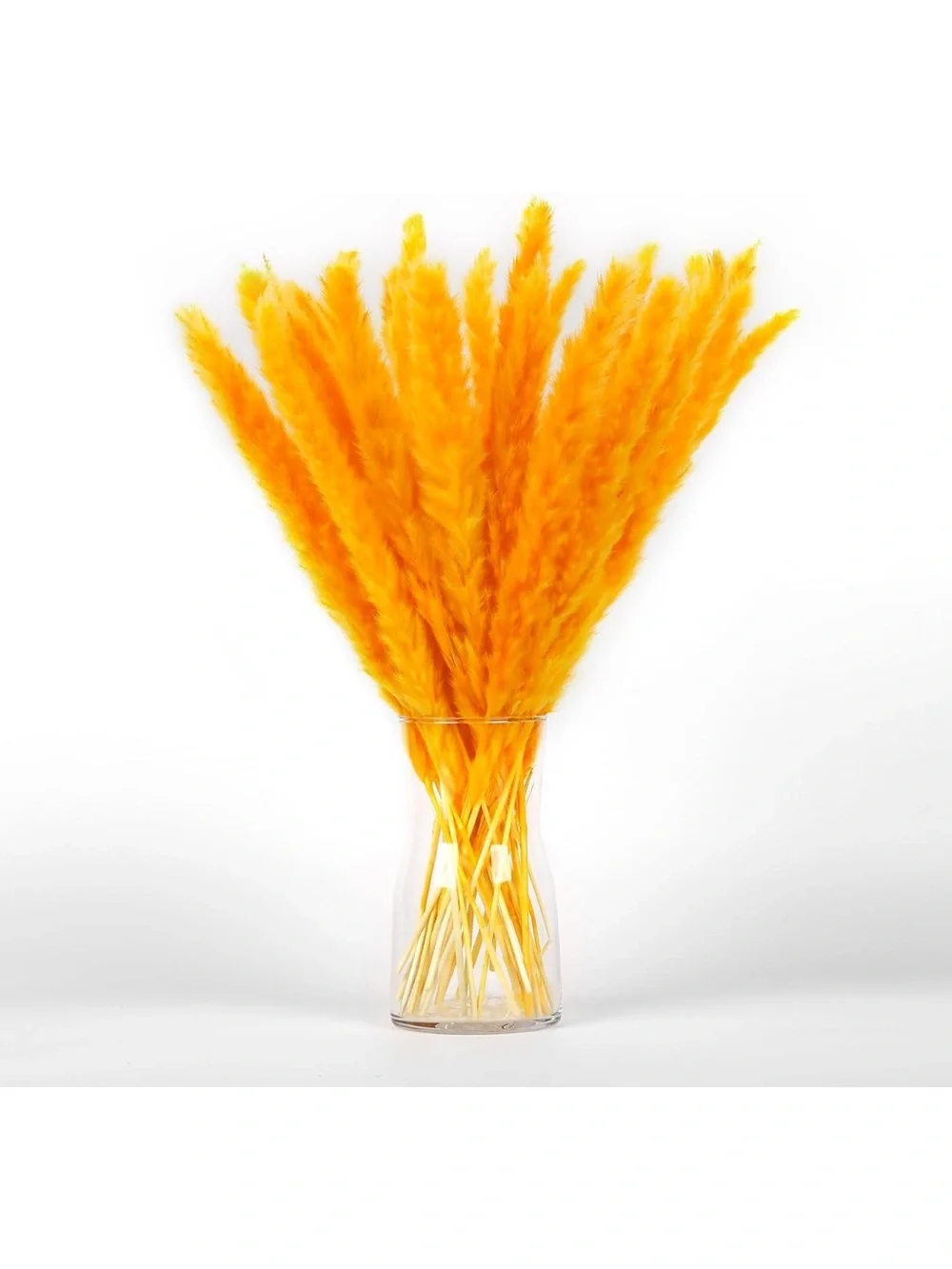 Colorful Dried Pampas Grass Stems – Multicolor Home Accent